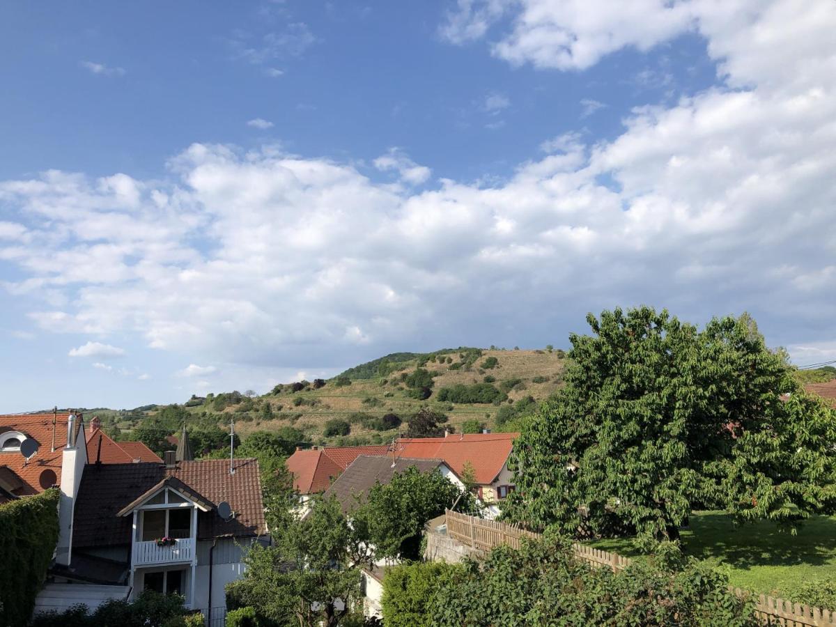 Ferienhaus Irene Vogtsburg Dış mekan fotoğraf