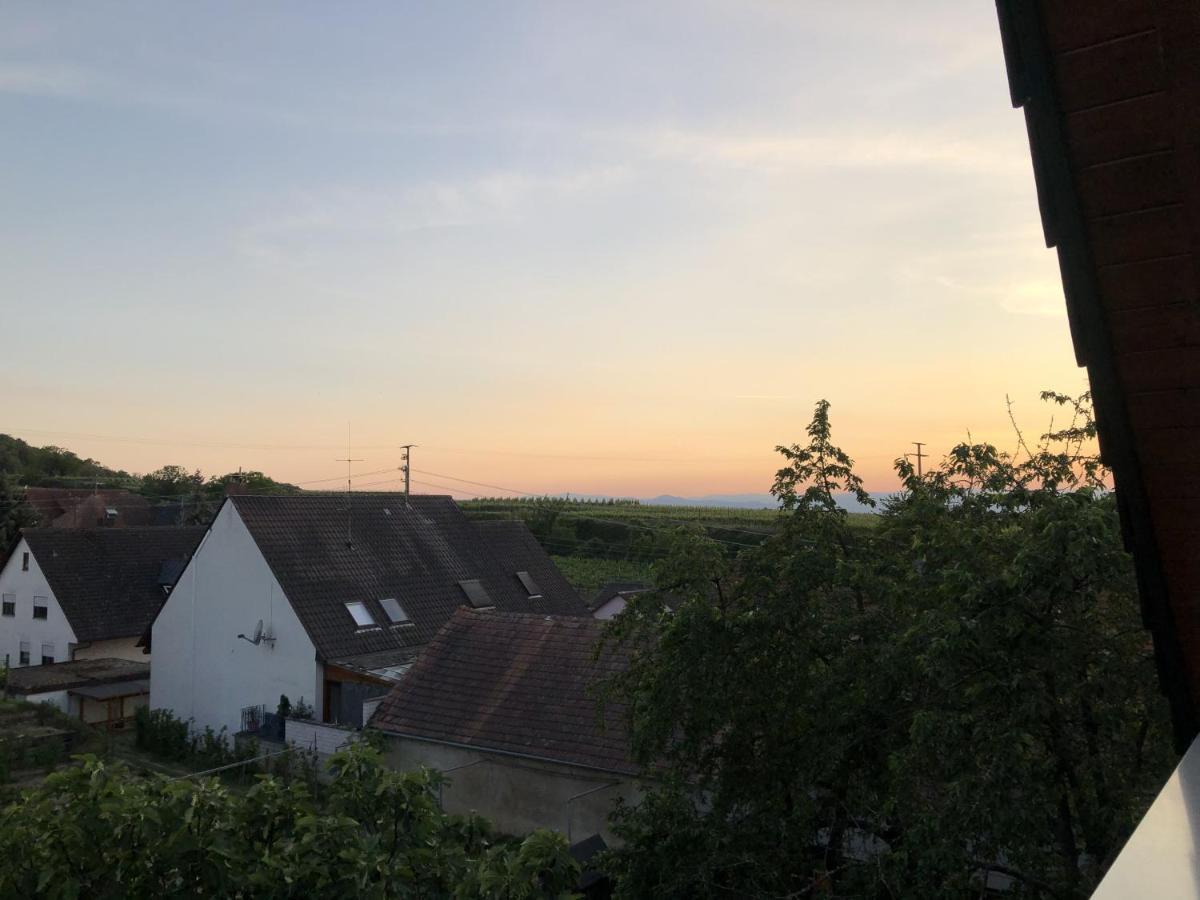 Ferienhaus Irene Vogtsburg Dış mekan fotoğraf