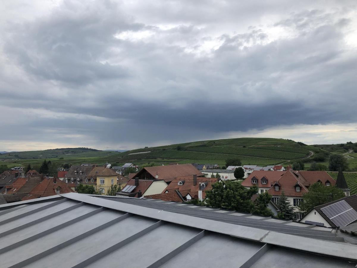 Ferienhaus Irene Vogtsburg Dış mekan fotoğraf
