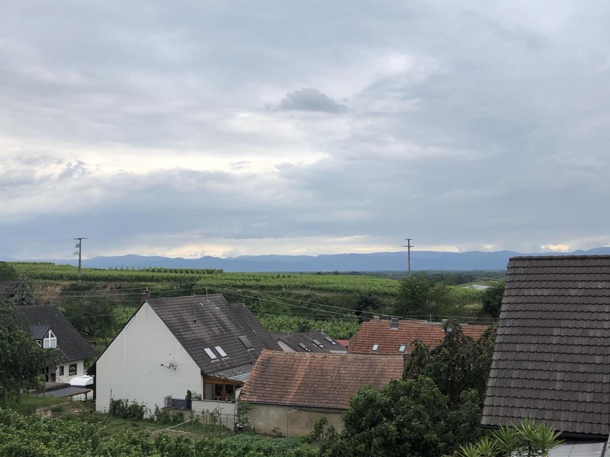 Ferienhaus Irene Vogtsburg Dış mekan fotoğraf